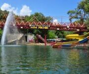 Ada Piknik Alanya’da doğa ile iç içe keyifli aile pikniği yapan insanlar, yeşillikler arasında mangal keyfi.