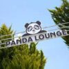 Alt metin: Alanya’da şık dekorasyonu ve huzurlu atmosferiyle dikkat çeken Panda Lounge kafe ve bar.