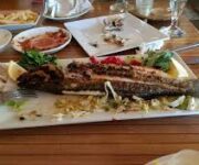 Mini Vitamin Cafe Kebap Evi’nin dış cephesi ve lezzetli kebap sunumlarıyla dolu açık hava oturma alanı