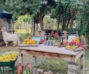 Alanya’da doğayla iç içe konumlanan Doktorun Bahçesi Cafe Restoran’ın yemyeşil bahçe oturma alanı Cafe Restaurant Cafe Restoran