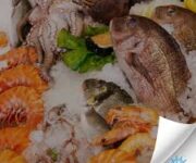 “Balikevi Alanya’da taze deniz ürünleri ve meze çeşitleriyle deniz manzarasında keyifli akşam yemeği.”