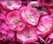 “Fatoş'un Güzellik Sırları salonunda profesyonel bakım hizmeti alan müşteri”