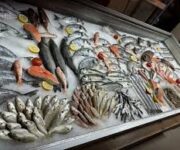 Cikcilli Balıkçılık – taze deniz ürünleri, balık çeşitleri ve deniz mahsulleriyle dolu vitrin