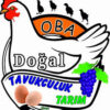 Oba Tavukçuluk – taze piliç ürünleri ve hazır tavuk çeşitleriyle dolu vitrin