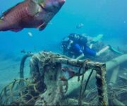 Alanya Atlantis Dive Club ile Akdeniz’in büyüleyici su altı dünyasını keşfedin.