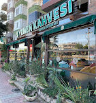 Konaklı'da modern tasarımı ve taze kahve kokusuyla misafirlerini ağırlayan Yemen Kahvesi Coffee & Restaurant ☕🍽️🌿