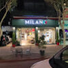 Milano Boutique Alanya – Modern ve şık kadın giyim, aksesuar ve ayakkabı koleksiyonlarıyla vitrin sunumu.