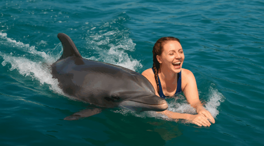 Alanya Yunuslarla Yüzme Turu