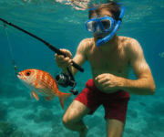 Alanya Şnorkel ve Balık Tutma (Avı) Turu