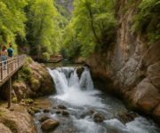 Alanya Sapadere Kanyonu ve Dim Çayı Turu