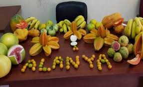 Alanya’da Tropikal Meyve Rüzgarı 10 Ekim’de Başlıyor