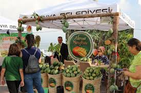 Egzotik meyveler ve etkinliklerle başlayan 4. Alanya Tropikal Meyve Festivali.