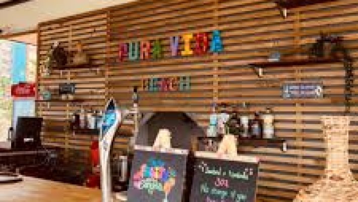 Pura Vida Beach Alanya’nın denize sıfır konumda kurulmuş şezlongları, palmiye ağaçları ve lüks plaj atmosferi