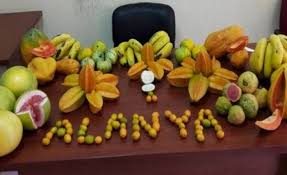 Alanya’da Tropikal Meyve Rüzgarı 10 Ekim’de Başlıyor