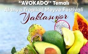 Alanya’da 10 Ekim’de düzenlenecek tropikal meyveler festivaliyle şehir renkleniyor.