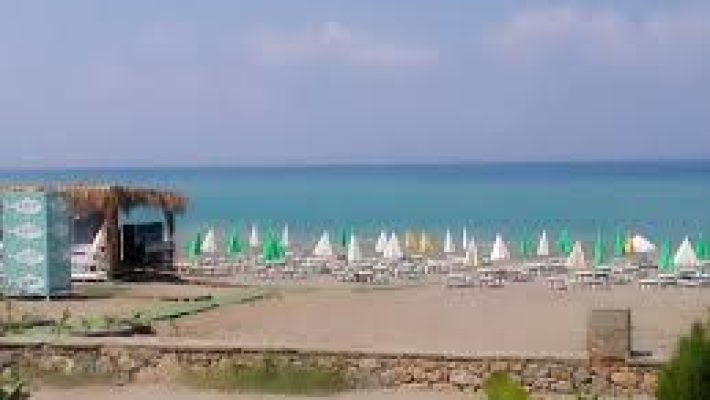 Sefa Beach Alanya’da denize sıfır şezlonglar, palmiye ağaçları ve berrak Akdeniz manzarası.