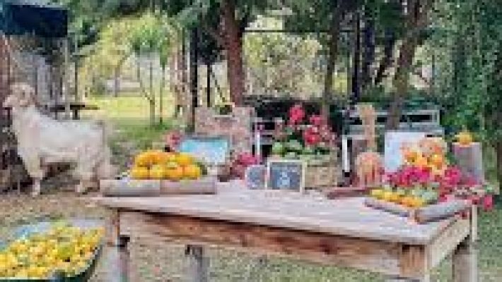 Alanya’da doğayla iç içe konumlanan Doktorun Bahçesi Cafe Restoran’ın yemyeşil bahçe oturma alanı Cafe Restaurant Cafe Restoran