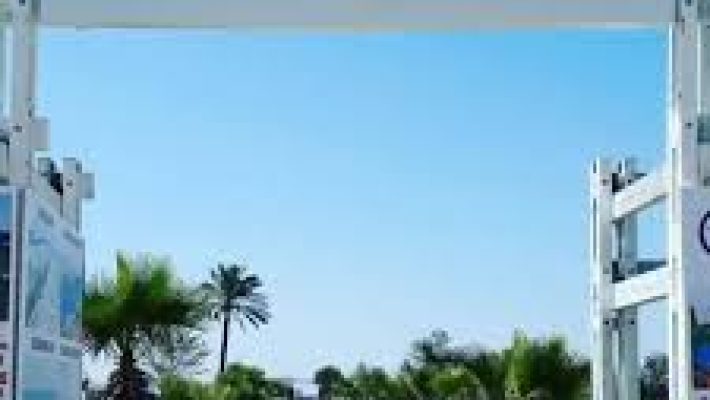 Seven Beach’in altın renkli kumsalında yer alan şezlonglar, berrak deniz ve palmiye ağaçları eşliğinde yaz güneşi altında dinlenen misafirler