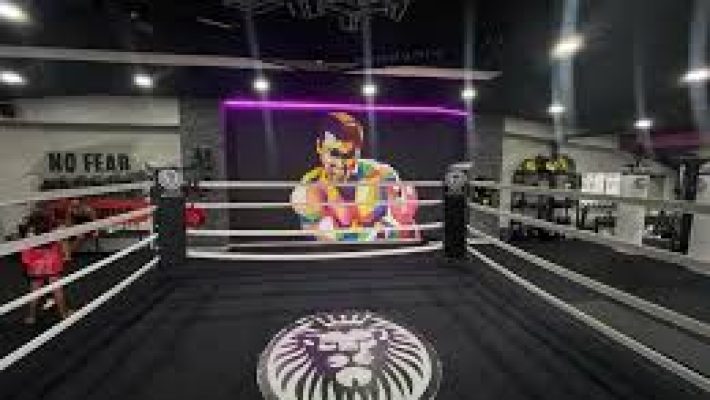 “Alanya Lion's Academy Fight Club’da kick boks, muay thai ve dövüş sporları eğitimi”