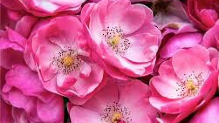 “Fatoş'un Güzellik Sırları salonunda profesyonel bakım hizmeti alan müşteri”