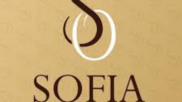 Sofiya Emlak’ın modern gayrimenkul projelerini ve şık yaşam alanlarını yansıtan görsel