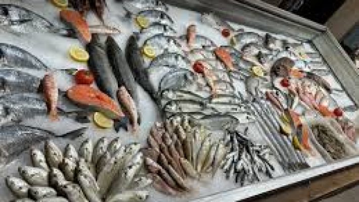 Cikcilli Balıkçılık – taze deniz ürünleri, balık çeşitleri ve deniz mahsulleriyle dolu vitrin