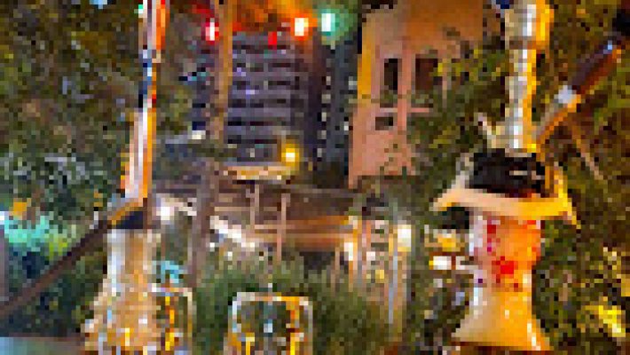 Premier Grand Cru Restaurant Saklı Bahçe’de yemyeşil ağaçların gölgesinde, şık bir masa düzeninde servis edilen gurme akşam yemeği tabağı ve şarap