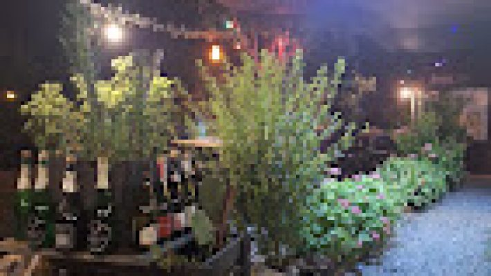 Alaturka Restaurant’ta Akdeniz esintileri eşliğinde geleneksel Türk mutfağı lezzetleri.