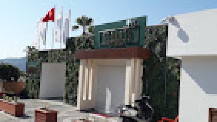 Deniz manzarasında taze balık çeşitleriyle Löküs Balık Restaurant’ta keyifli bir akşam yemeği 🍋🐟🌊