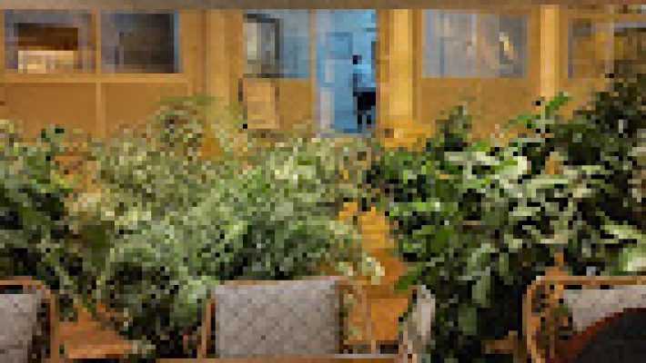 Şık dekorasyonu, sıcak kahve kokusu ve lezzetli ikramlarıyla Caffe Della Via’da keyifli bir mola ☕🍰🌿